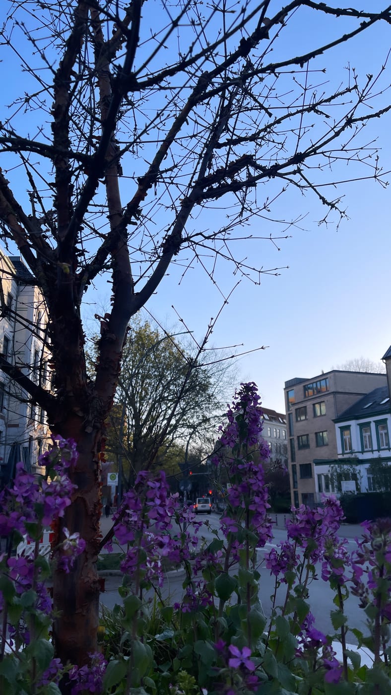 Blumen am Straßenrand vor dem Studio